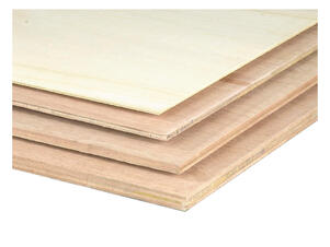 Multiplex 244x122 cm 3,6mm